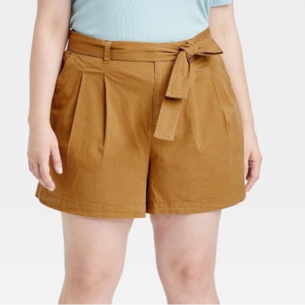 Burnt Orange Shorts